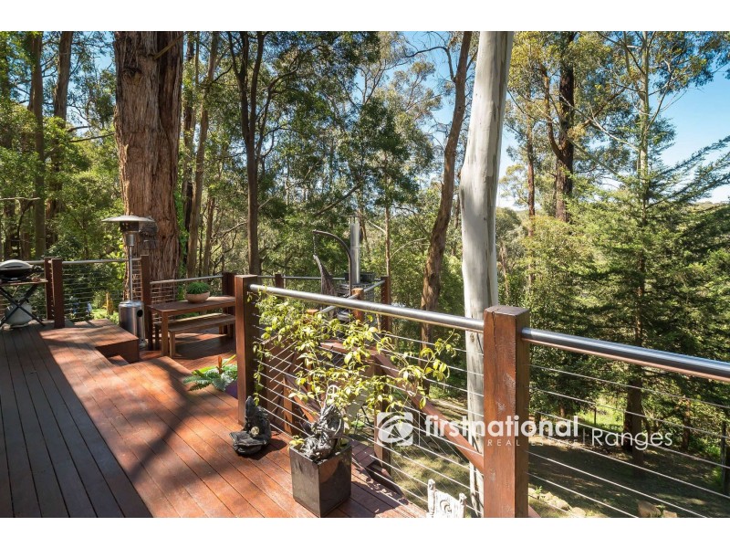 19 Peters Road, Belgrave VIC 3160