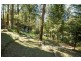 19 Peters Road, Belgrave VIC 3160