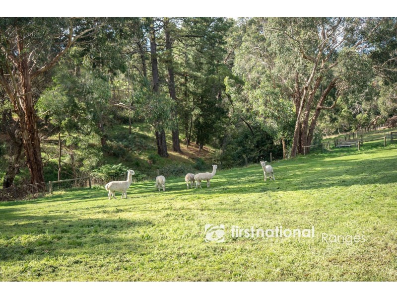 32 Deviation Road, Belgrave South VIC 3160