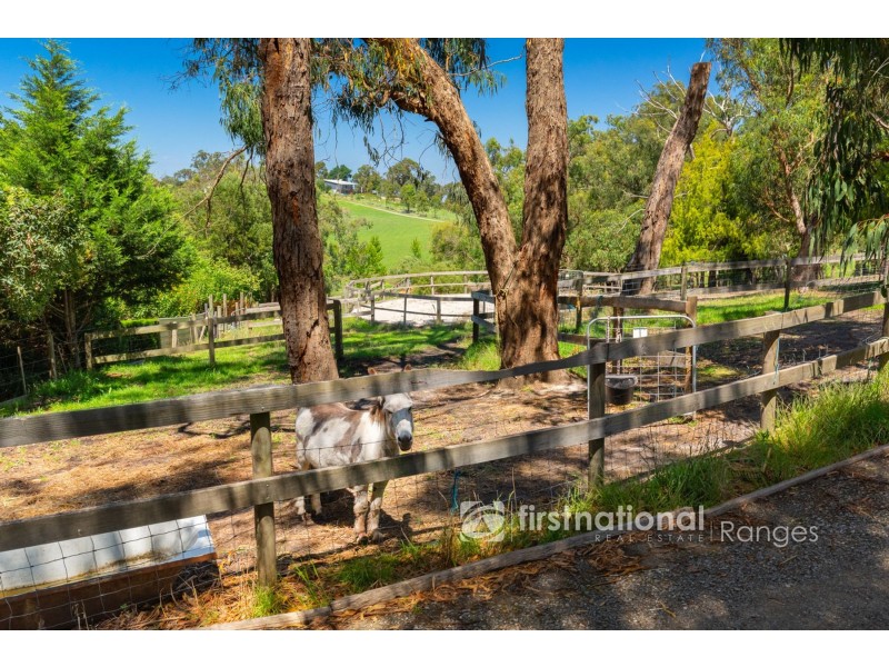 74 Peterson Road, Officer VIC 3809