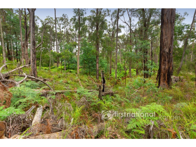 8 Tarrana Street, Cockatoo VIC 3781