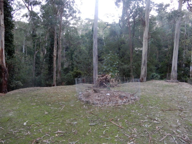 9 Colin Avenue, Belgrave VIC 3160