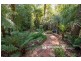 191 Emerald-Monbulk Road, Monbulk VIC 3793