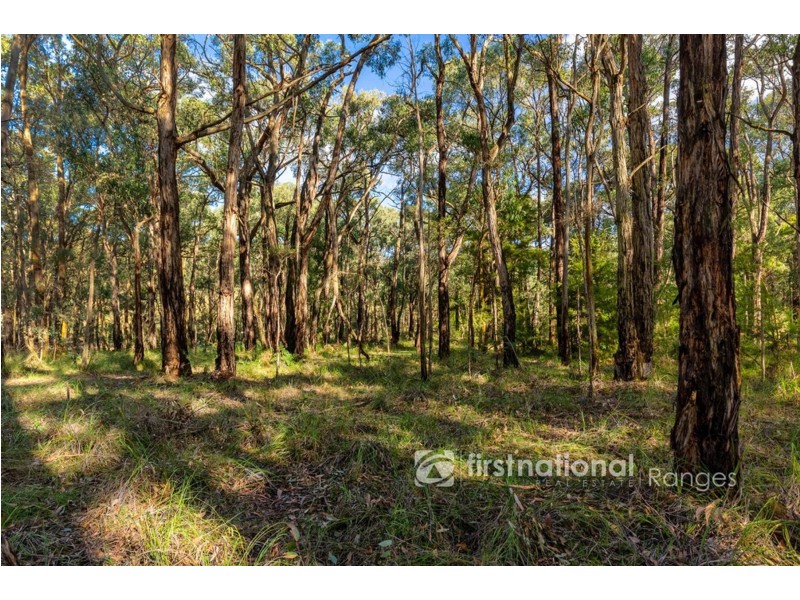 1055 Macclesfield Road, Yellingbo VIC 3139
