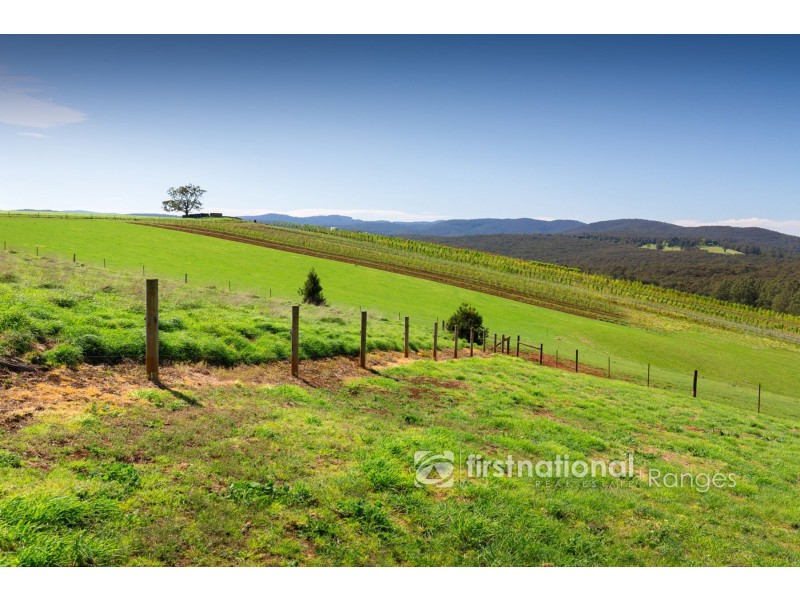 480 Ure Road, Gembrook VIC 3783