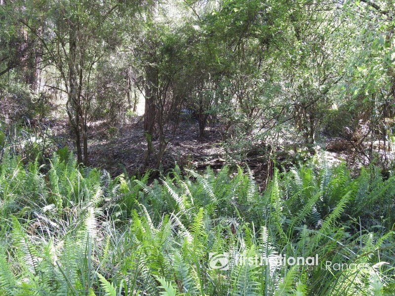 31 Coulson Road, Monbulk VIC 3793