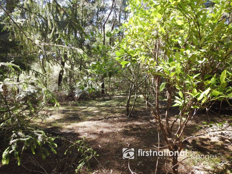 31 Coulson Road, Monbulk VIC 3793