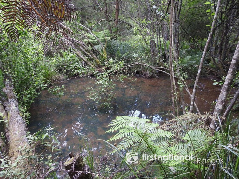 31 Coulson Road, Monbulk VIC 3793