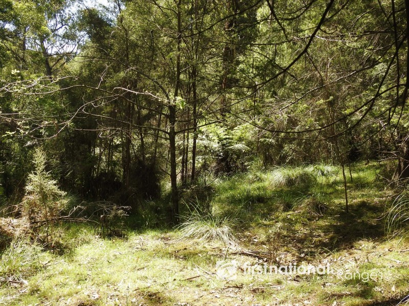 31 Coulson Road, Monbulk VIC 3793