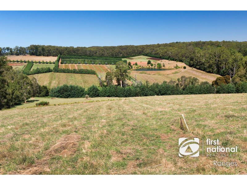 230 Ure Road, Gembrook VIC 3783