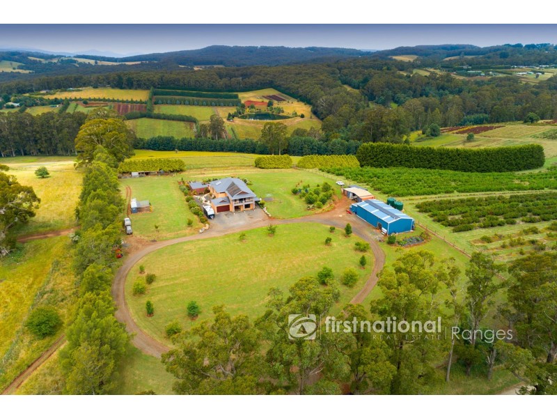230 Ure Road, Gembrook VIC 3783