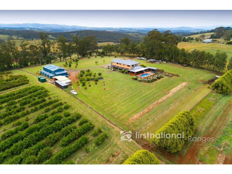 230 Ure Road, Gembrook VIC 3783