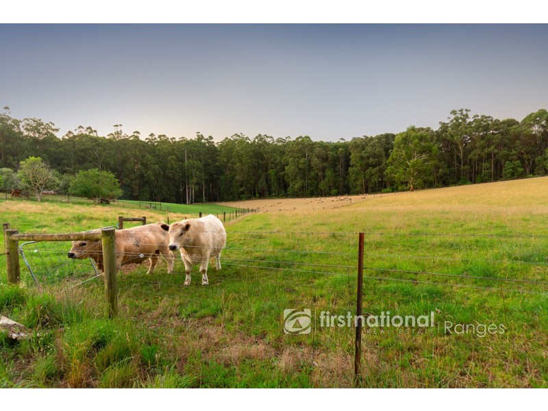 2 Meadowview Lane, Emerald VIC 3782