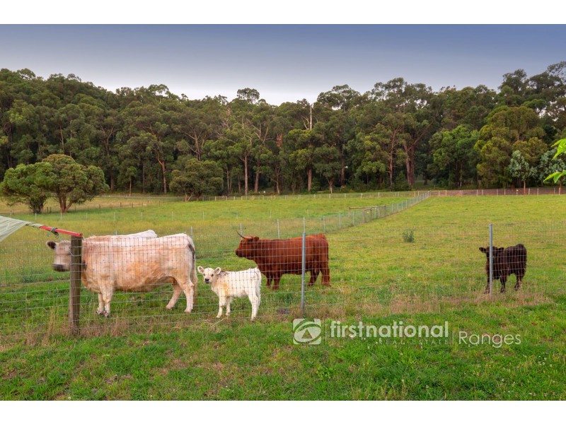 2 Meadowview Lane, Emerald VIC 3782