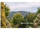 33 Moores Road, Monbulk VIC 3793