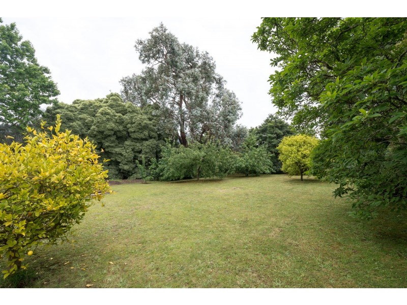 33 Moores Road, Monbulk VIC 3793