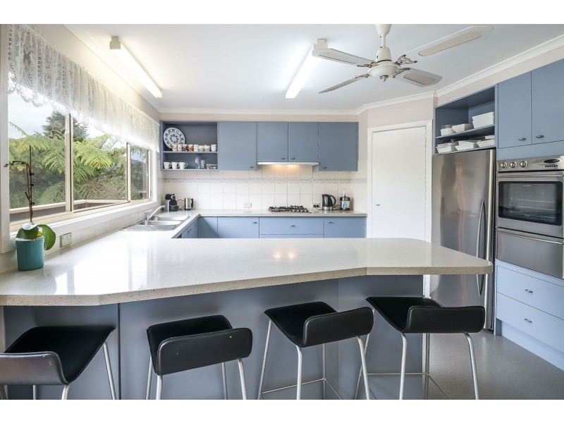 33 Moores Road, Monbulk VIC 3793