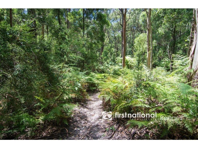 15 Wombalana Road, Selby VIC 3159