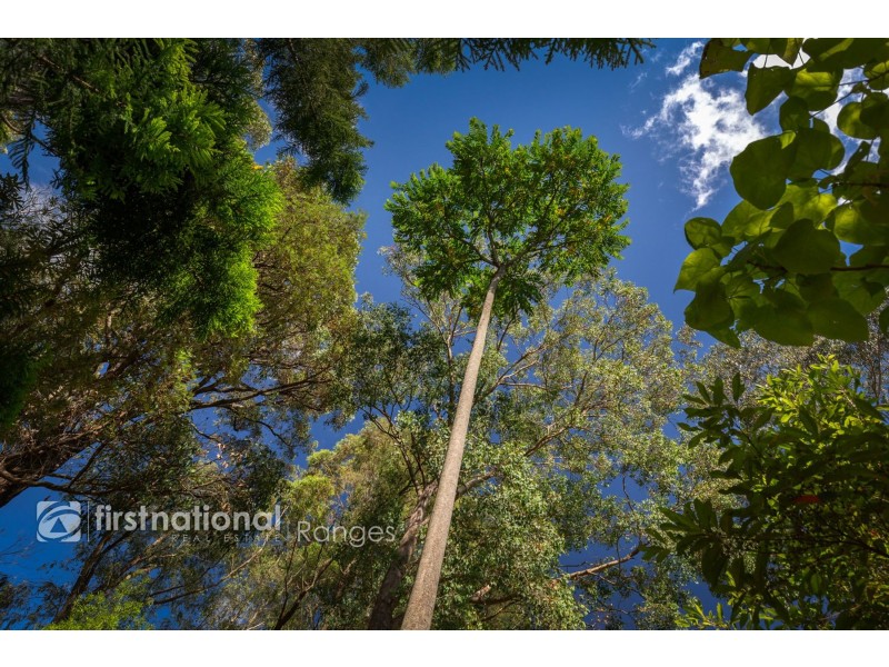 5 Curtis Road, Emerald VIC 3782