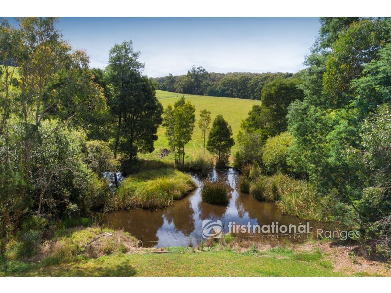 146 Collie Road, Gembrook VIC 3783