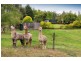 755 Woori Yallock Road, Nangana VIC 3781