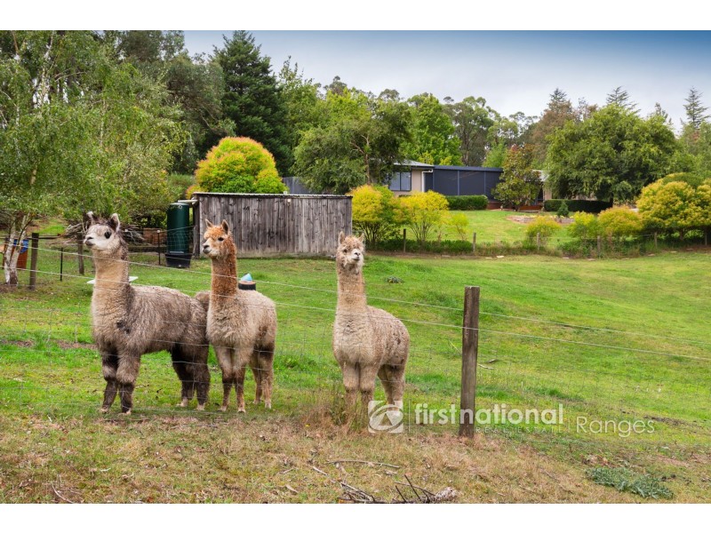 755 Woori Yallock Road, Nangana VIC 3781