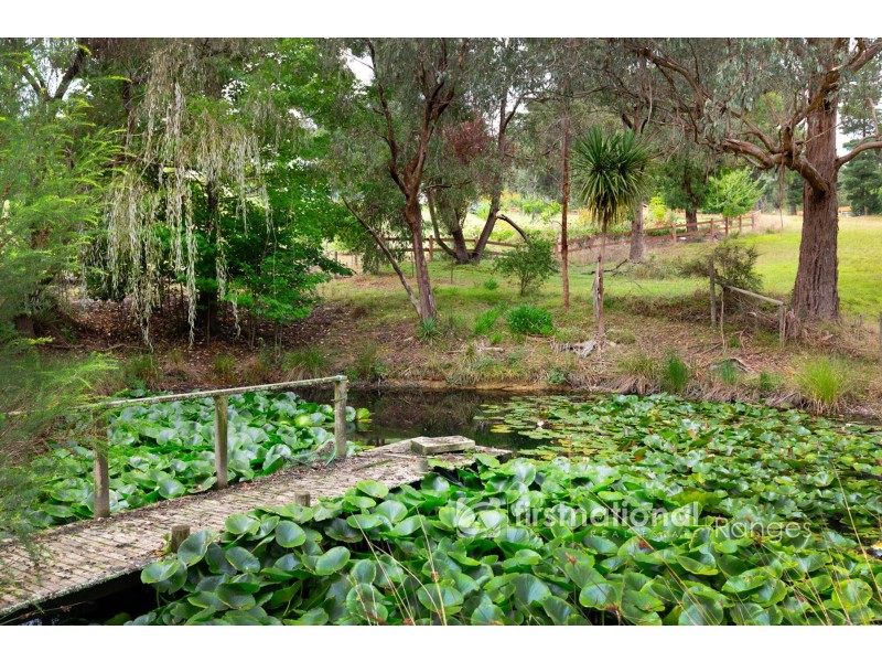 755 Woori Yallock Road, Nangana VIC 3781