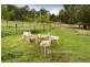 755 Woori Yallock Road, Nangana VIC 3781