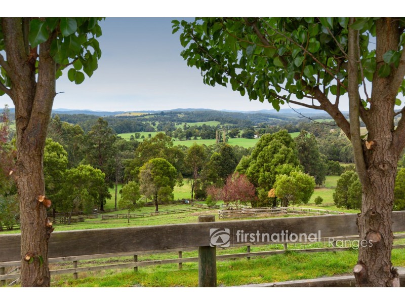 11 Brodrick Road, Macclesfield VIC 3782