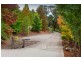 11 Brodrick Road, Macclesfield VIC 3782