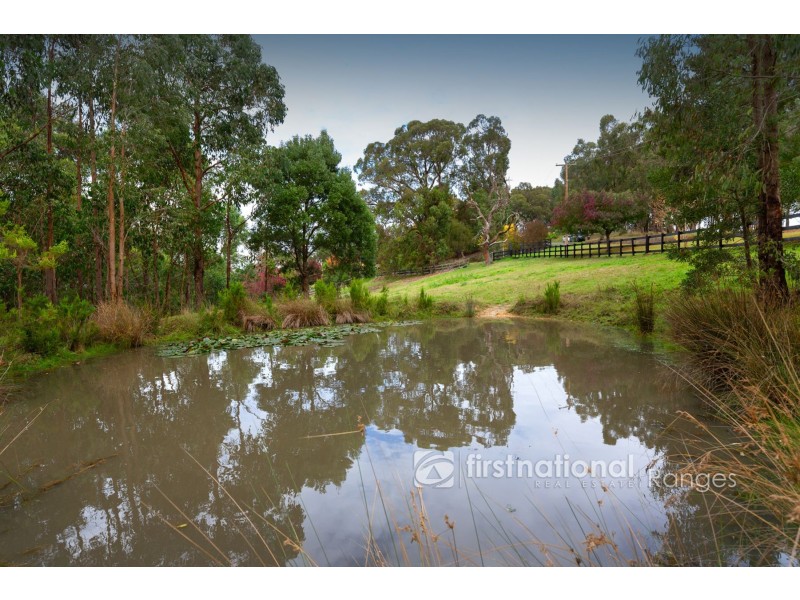 11 Brodrick Road, Macclesfield VIC 3782