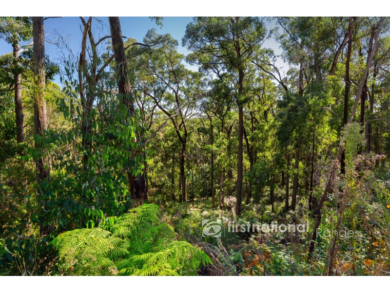 141 Grey Road, Gembrook VIC 3783