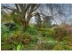 39 Emerald Lake Road, Emerald VIC 3782