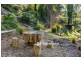 14 Broompark Crescent, Olinda VIC 3788