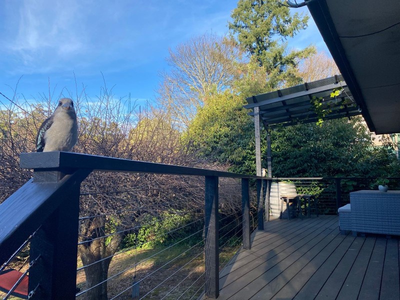 211 Mount Dandenong Tourist Road, Ferny Creek VIC 3786