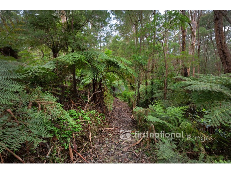 25 Mountain Road, Cockatoo VIC 3781