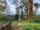 187 Olinda-Monbulk Road, Monbulk VIC 3793