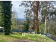 187 Olinda-Monbulk Road, Monbulk VIC 3793