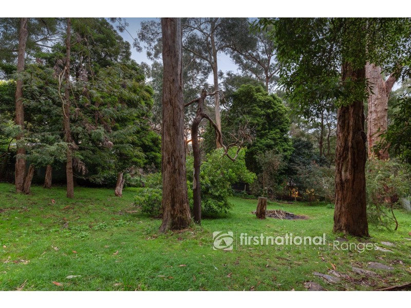 91 Terrys Avenue, Tecoma VIC 3160