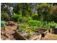 5 Baker Street, Cockatoo VIC 3781