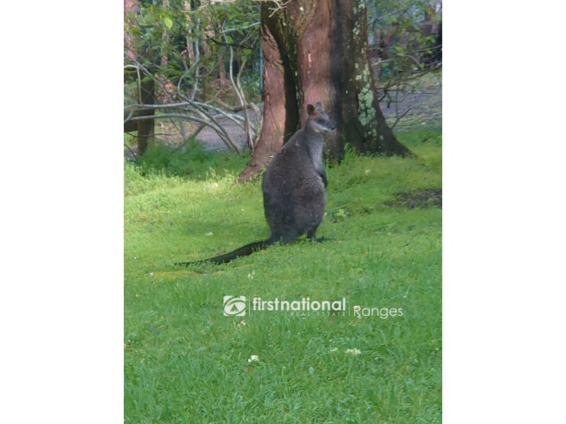 118-124 Mast Gully Road, Upwey VIC 3158