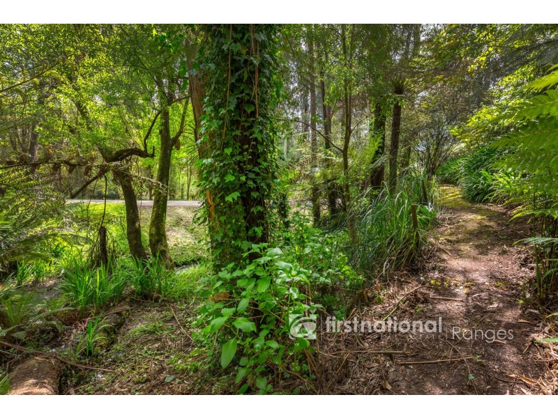 21 Alexander Road, Cockatoo VIC 3781