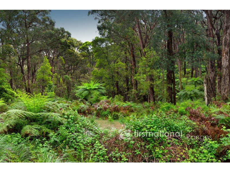 92 Beaconsfield-Emerald Road, Emerald VIC 3782