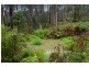 92 Beaconsfield-Emerald Road, Emerald VIC 3782
