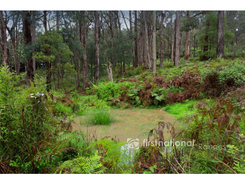 92 Beaconsfield-Emerald Road, Emerald VIC 3782