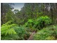 92 Beaconsfield-Emerald Road, Emerald VIC 3782