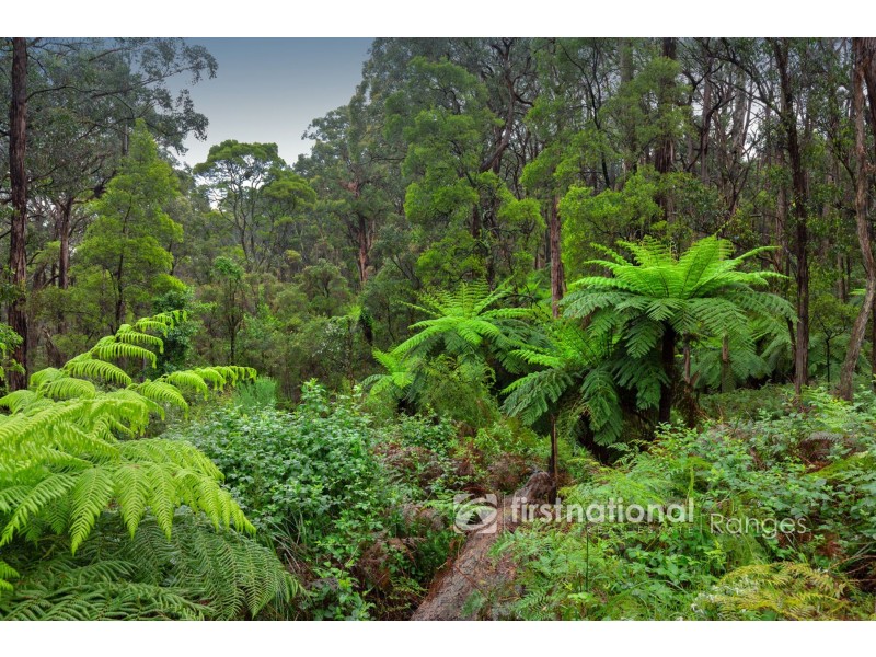 92 Beaconsfield-Emerald Road, Emerald VIC 3782