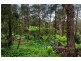 43 Mountain Road, Cockatoo VIC 3781