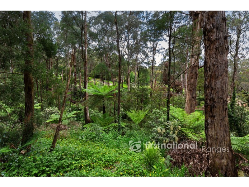 43 Mountain Road, Cockatoo VIC 3781