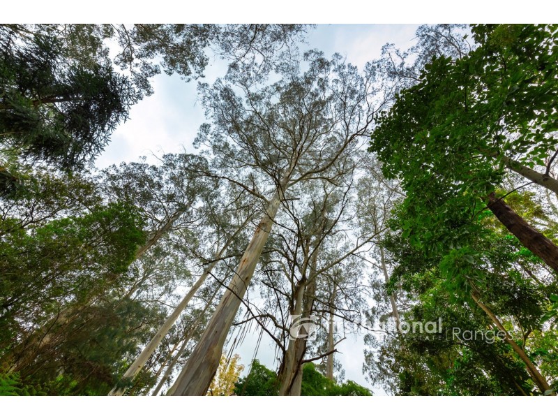 7 Lisheen Road, Cockatoo VIC 3781